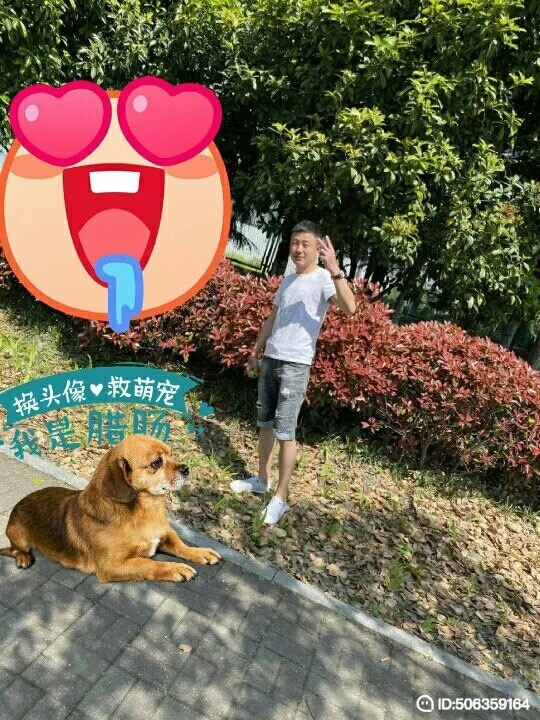 我若不坚强谁替我勇敢的第一张照片--安徽中老年相亲网